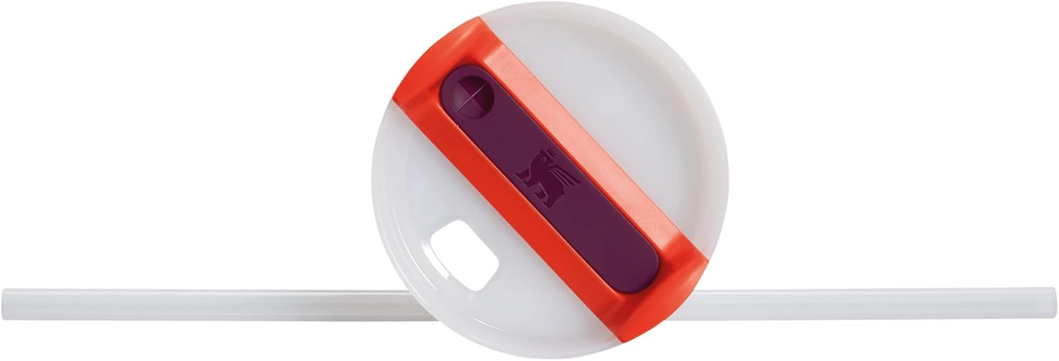 Stanley Quencher H2.0 FlowState Mug Isotherme avec Paille - Froid Pendant 9-11 Heures - Glacé Pendant 40 Heures - Thermos Lavable au Lave-Vaisselle - Gourde Inox Sans BPA